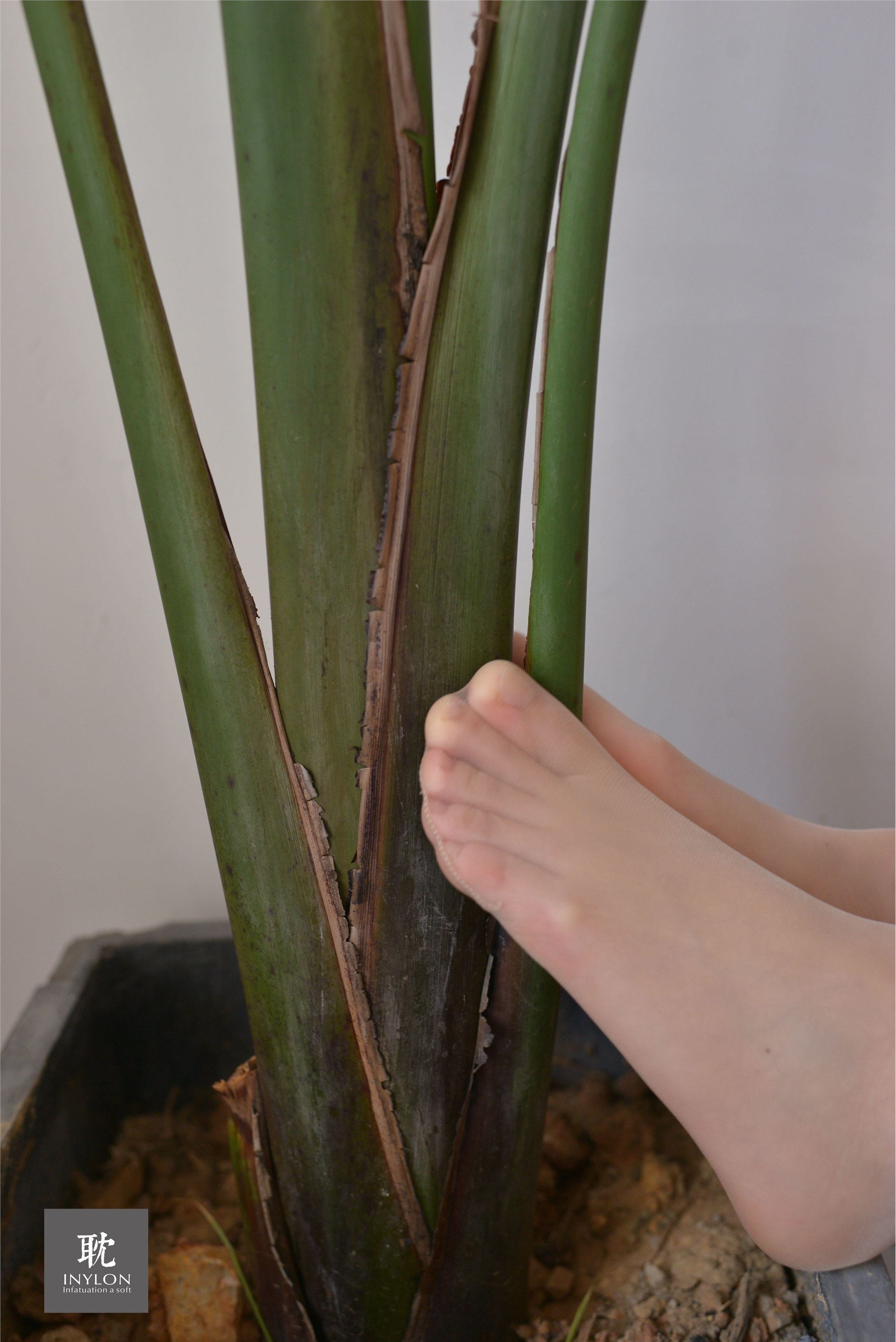 IESS异思趣向《普惠集233》- 模特：小婕《安静的小婕2》